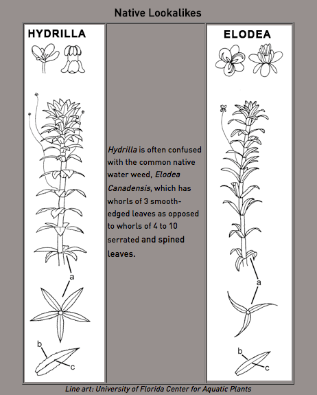 Figure 6png